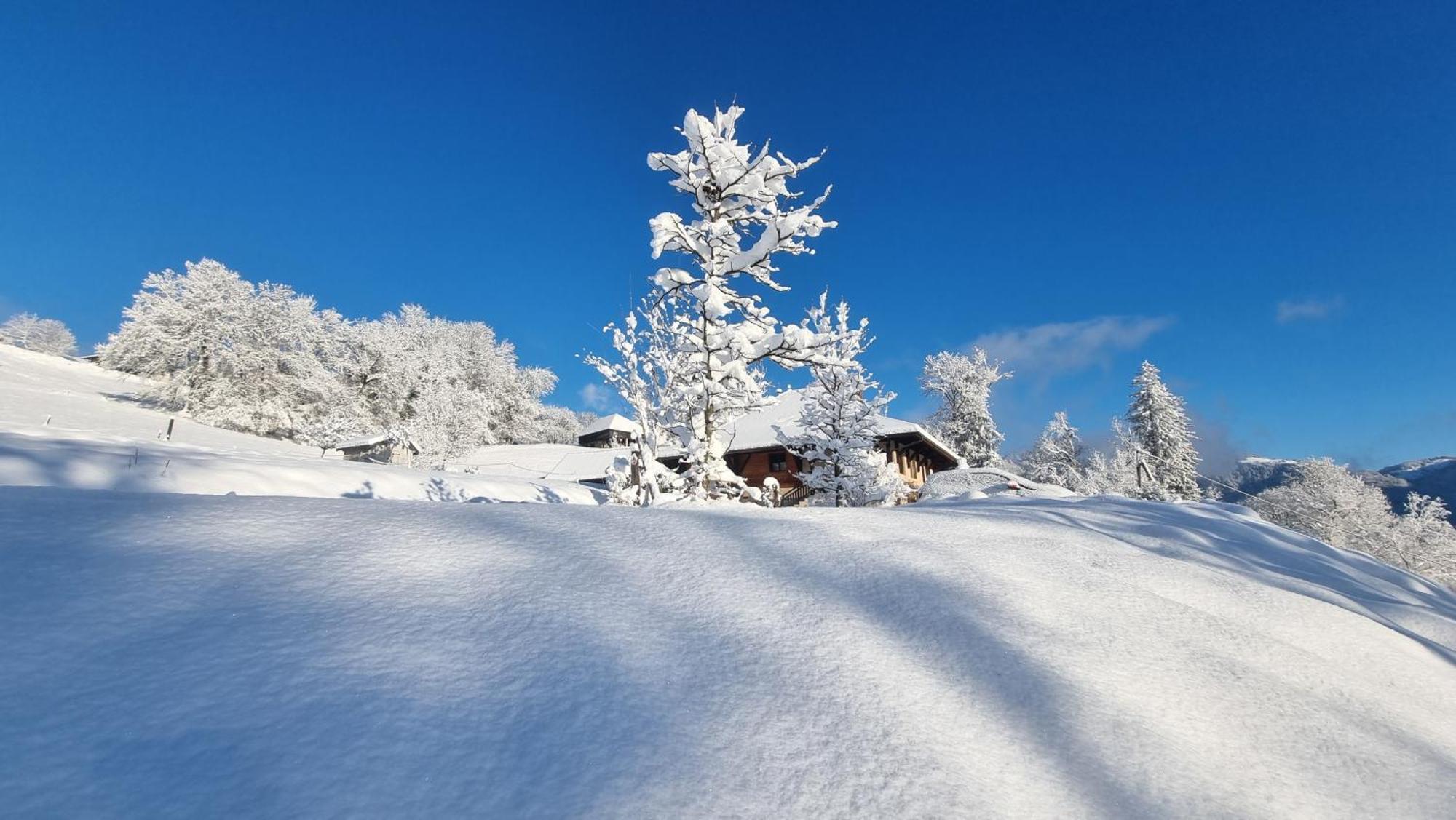 Le Refuge Du Montagnard Bed and Breakfast Marthod Eksteriør billede